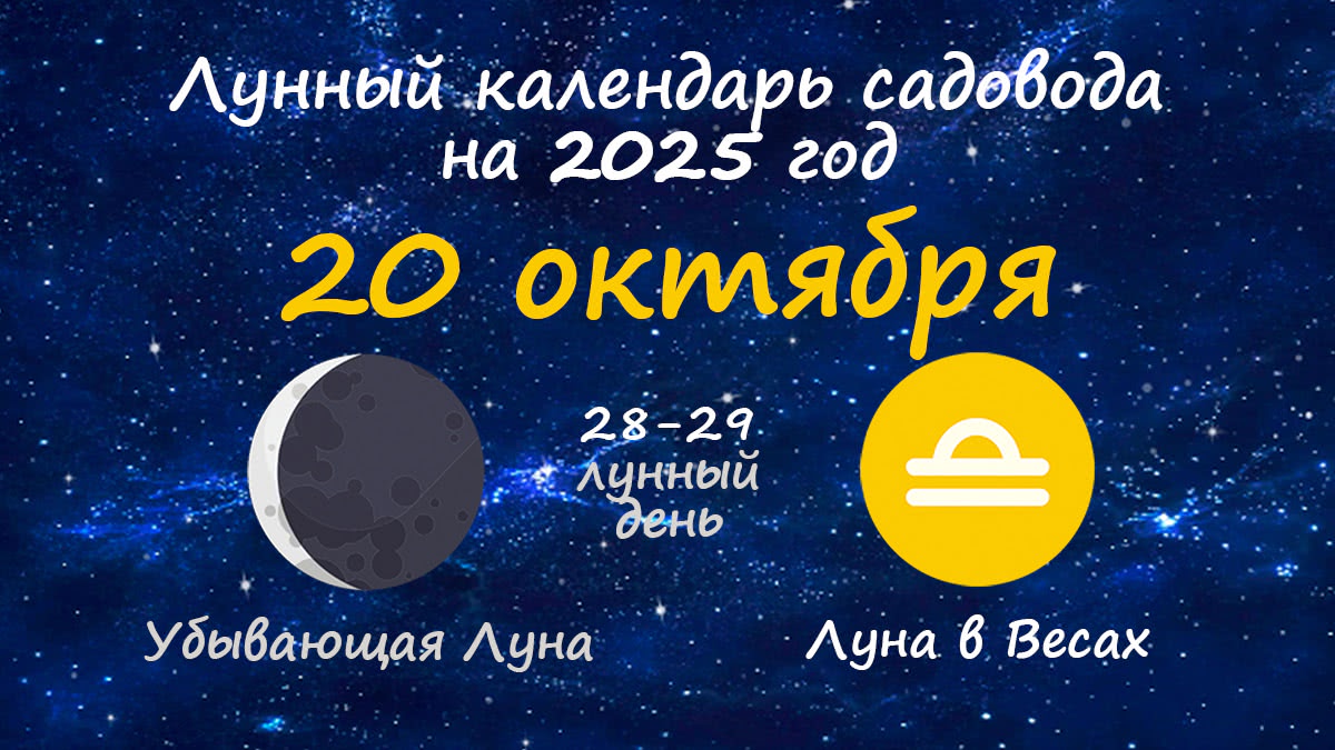 Лунный календарь садовода-огородника на 20 октября 2025 года