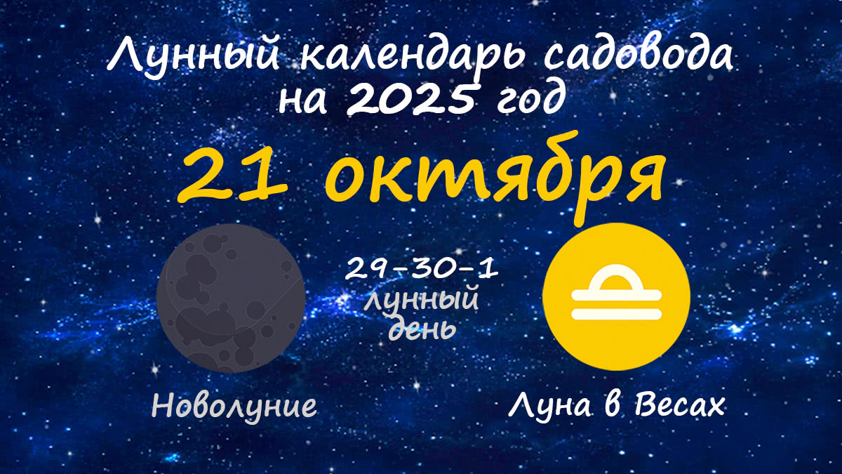 Лунный календарь садовода-огородника на 21 октября 2025 года