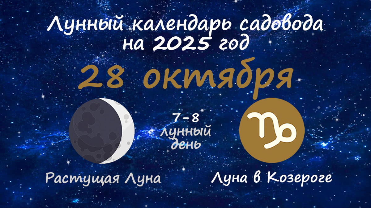 Лунный календарь садовода-огородника на 28 октября 2025 года