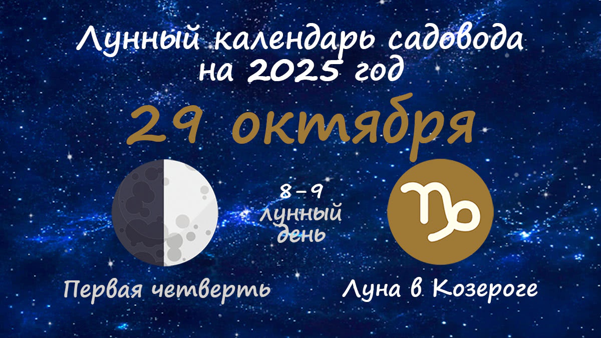 Лунный календарь садовода-огородника на 29 октября 2025 года