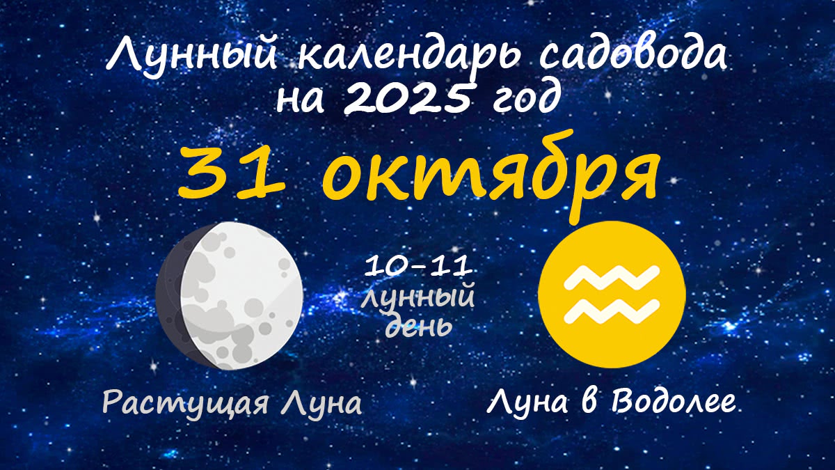 Лунный календарь садовода-огородника на 31 октября 2025 года