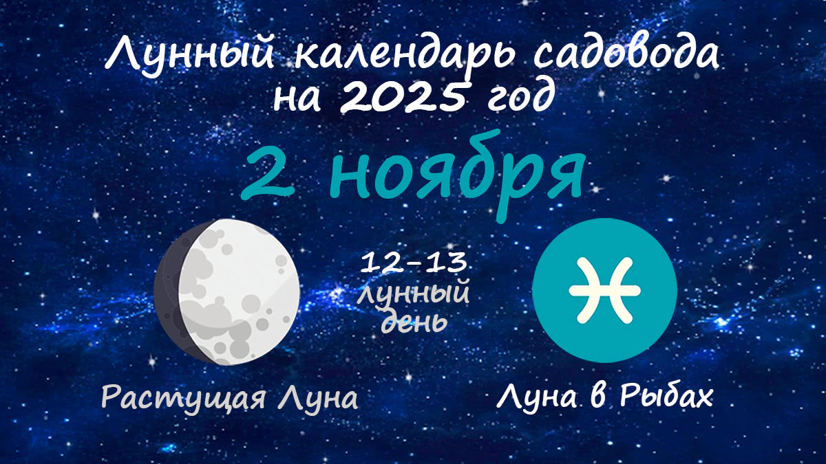 Лунный календарь садовода-огородника на 2 ноября 2025 года