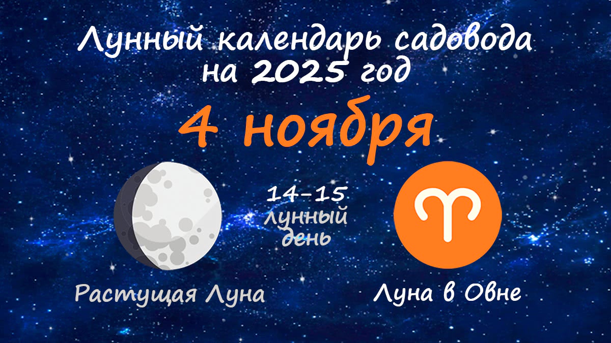 Лунный календарь садовода-огородника на 4 ноября 2025 года