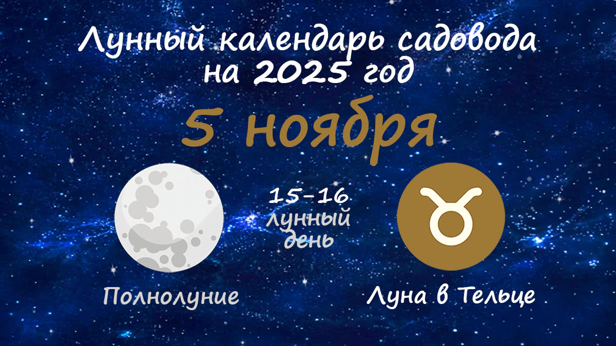 Лунный календарь садовода-огородника на 5 ноября 2025 года