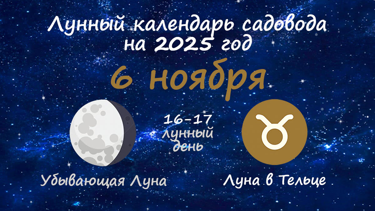 Лунный календарь садовода-огородника на 6 ноября 2025 года