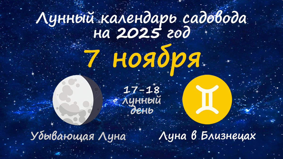 Лунный календарь садовода-огородника на 7 ноября 2025 года