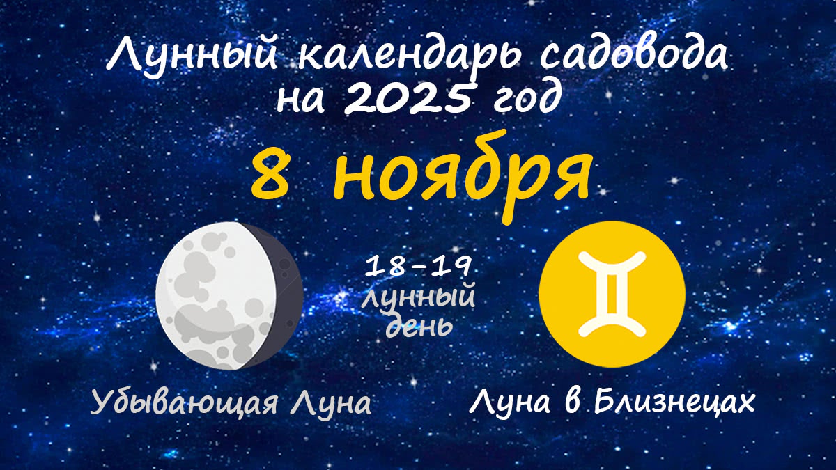 Лунный календарь садовода-огородника на 8 ноября 2025 года