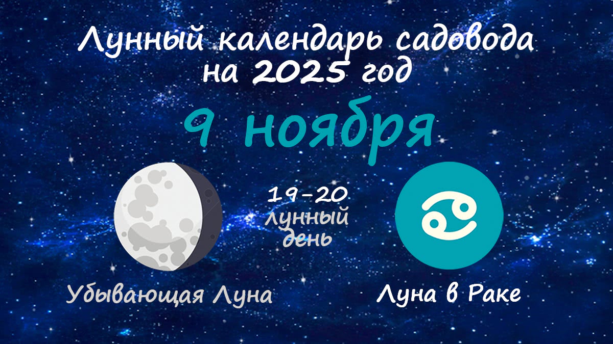 Лунный календарь садовода-огородника на 9 ноября 2025 года