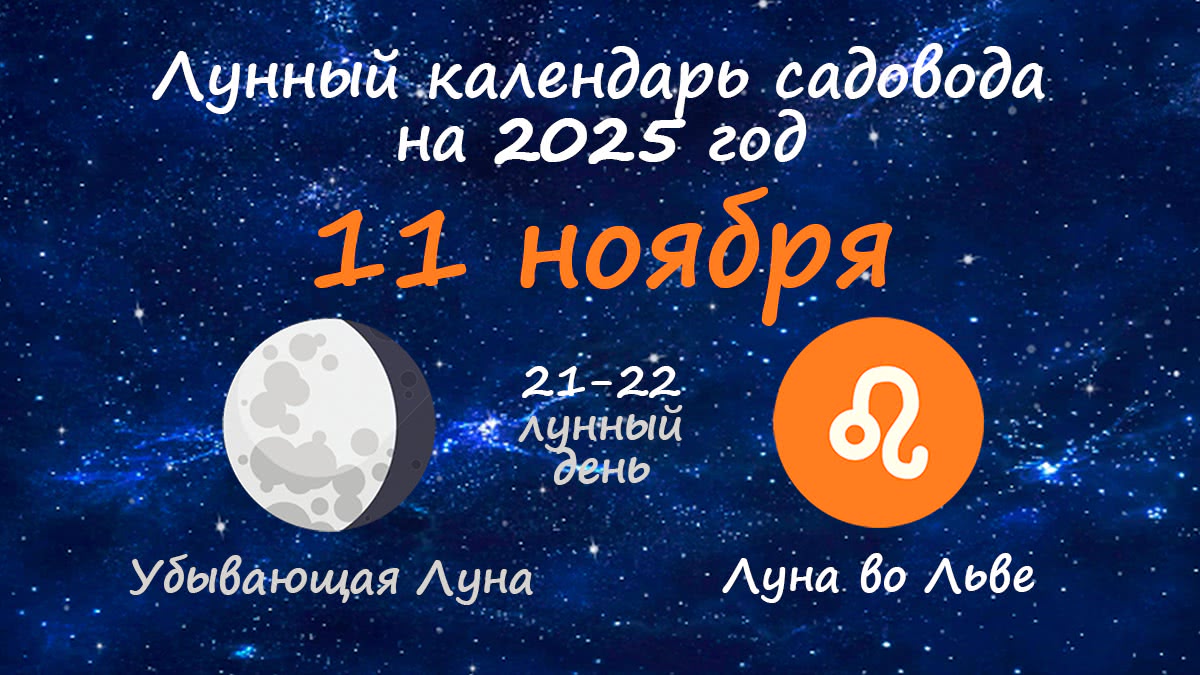 Лунный календарь садовода-огородника на 11 ноября 2025 года