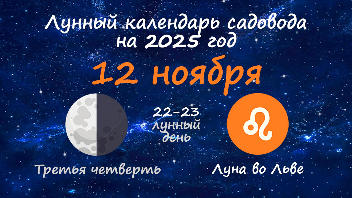 Лунный календарь садовода-огородника на 12 ноября 2025 года