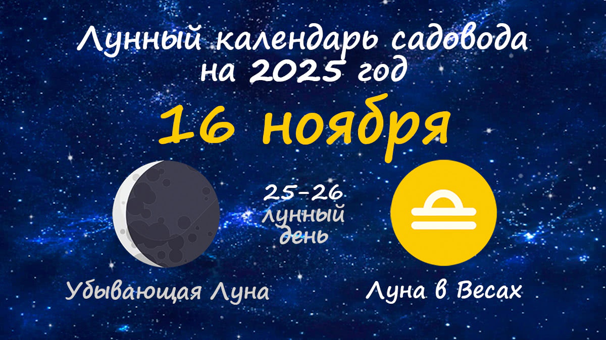 Лунный календарь садовода-огородника на 16 ноября 2025 года