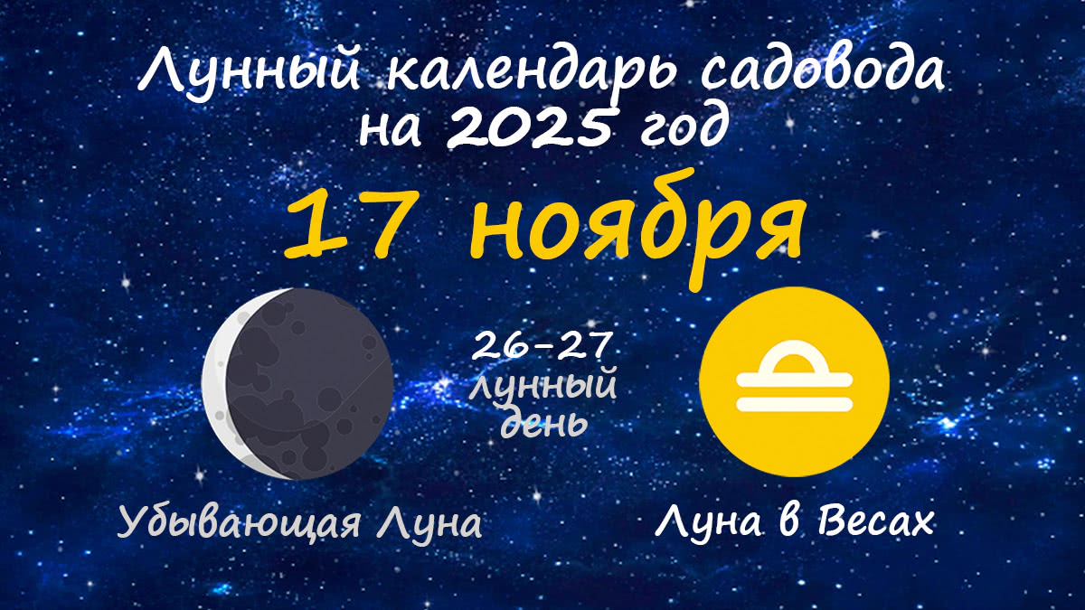 Лунный календарь садовода-огородника на 17 ноября 2025 года
