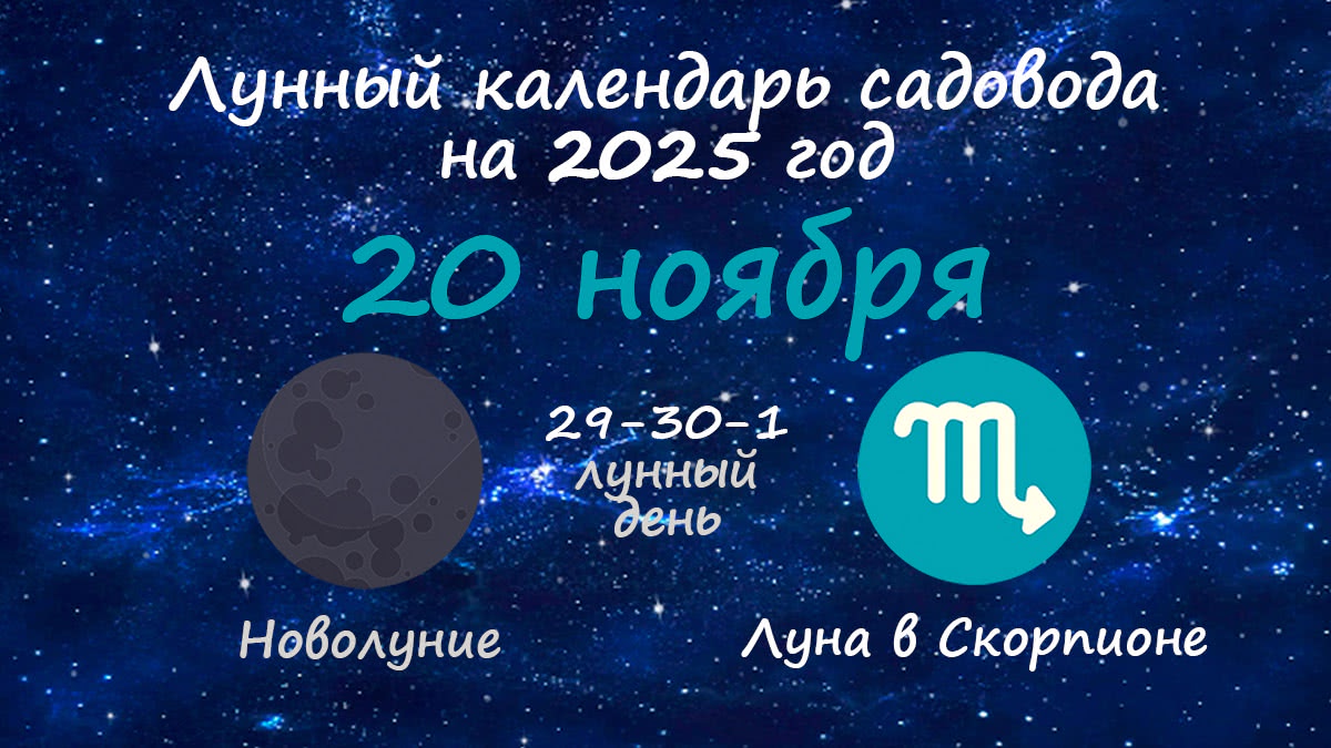 Лунный календарь садовода-огородника на 20 ноября 2025 года
