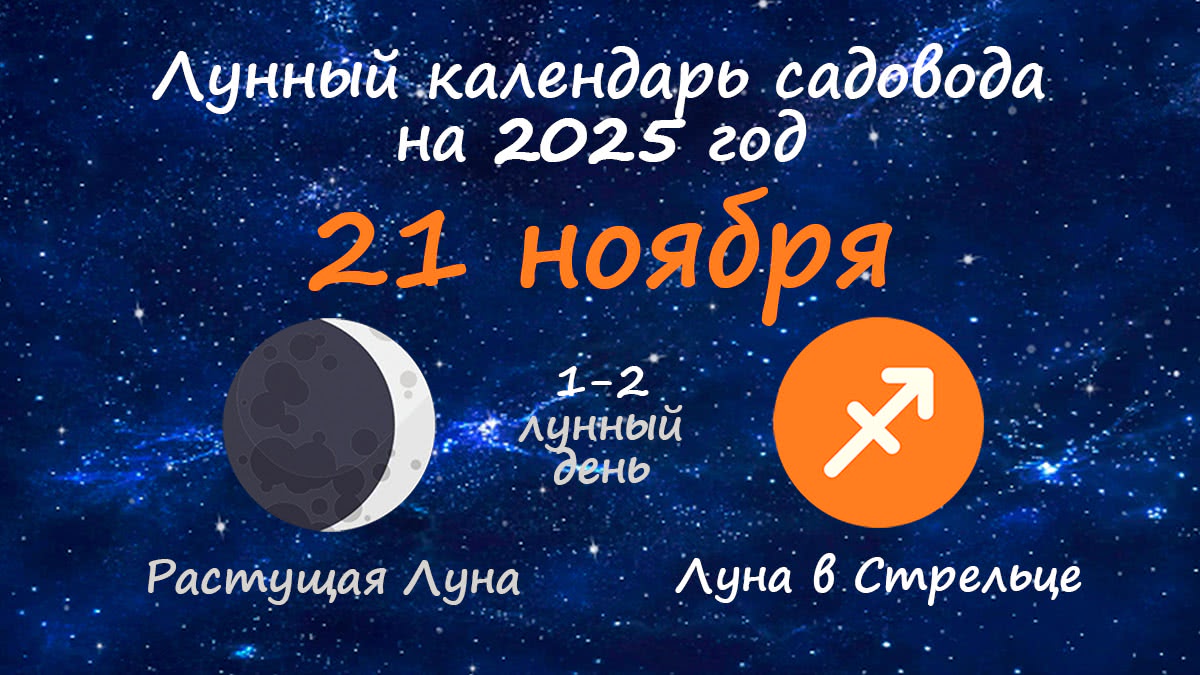 Лунный календарь садовода-огородника на 21 ноября 2025 года