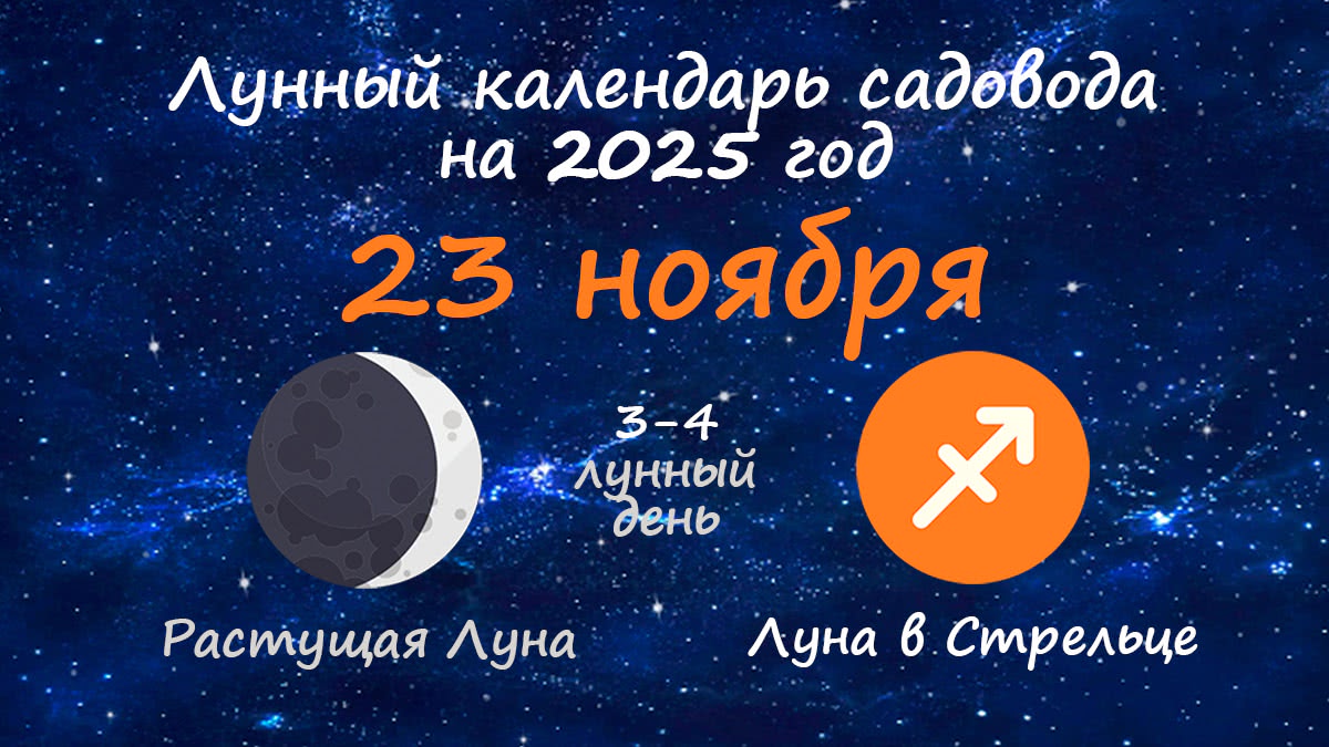 Лунный календарь садовода-огородника на 23 ноября 2025 года