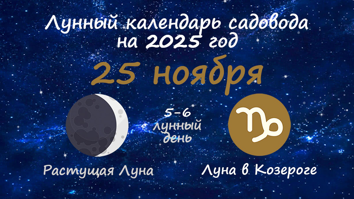 Лунный календарь садовода-огородника на 25 ноября 2025 года