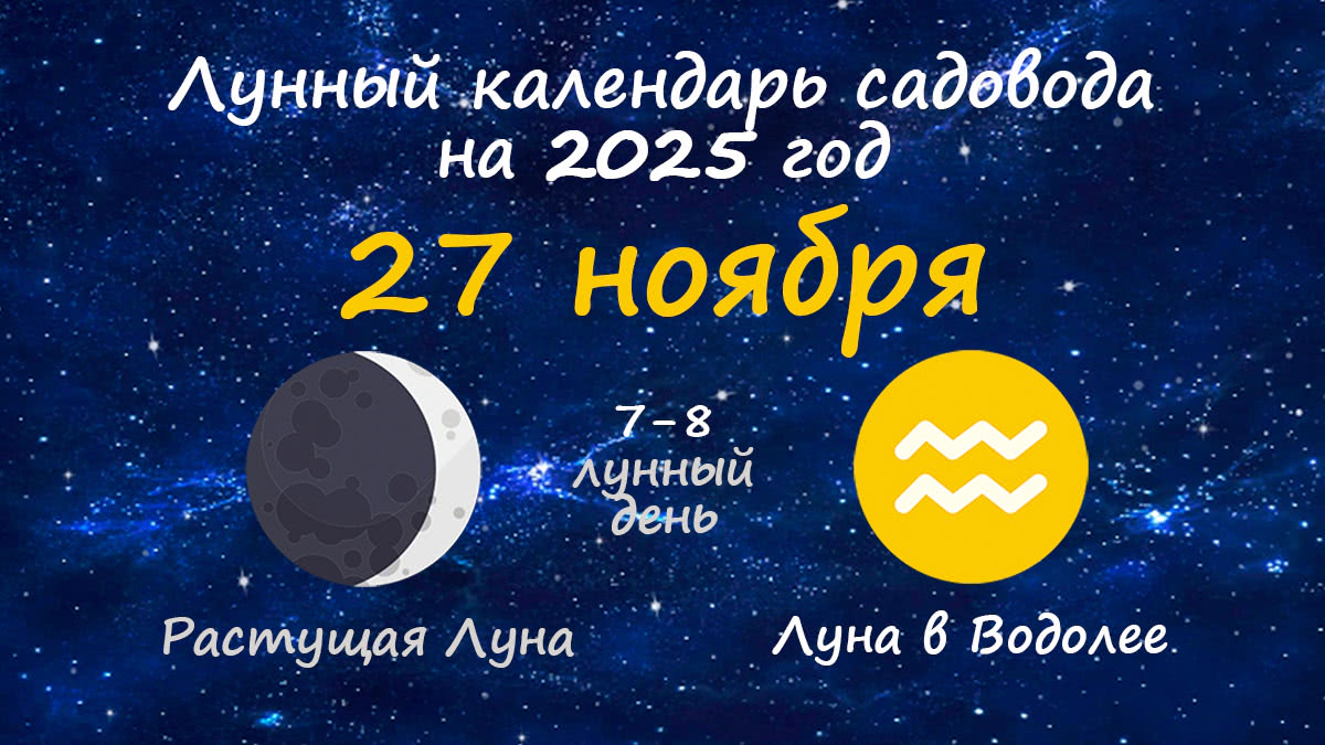Лунный календарь садовода-огородника на 27 ноября 2025 года