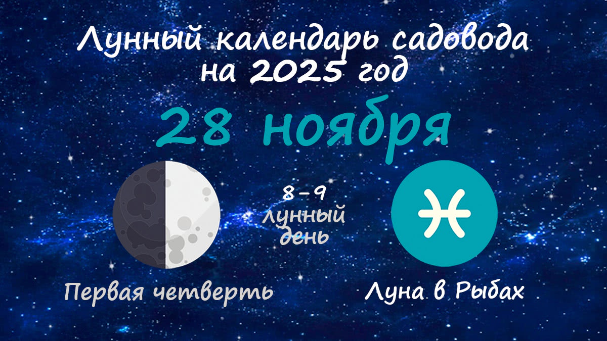 Лунный календарь садовода-огородника на 28 ноября 2025 года
