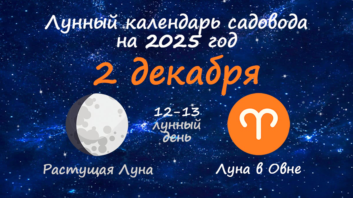 Лунный календарь садовода-огородника на 2 декабря 2025 года