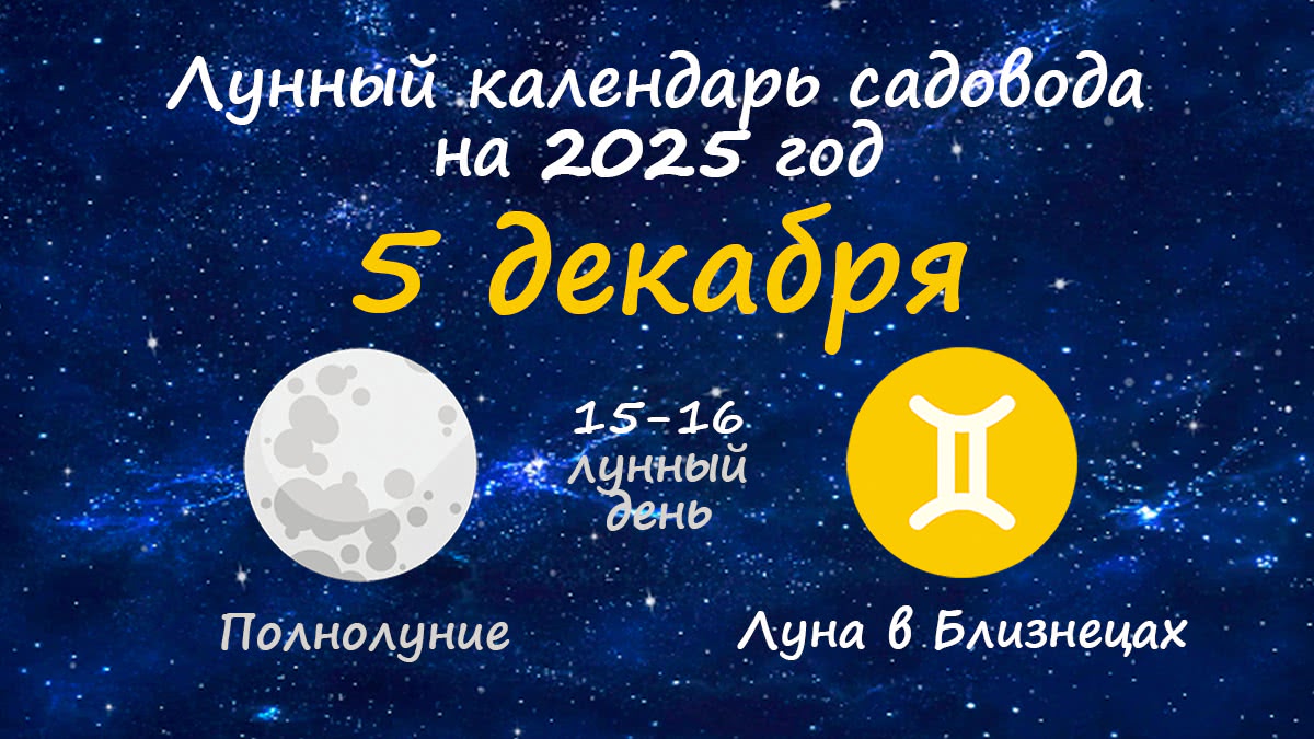 Лунный календарь садовода-огородника на 5 декабря 2025 года