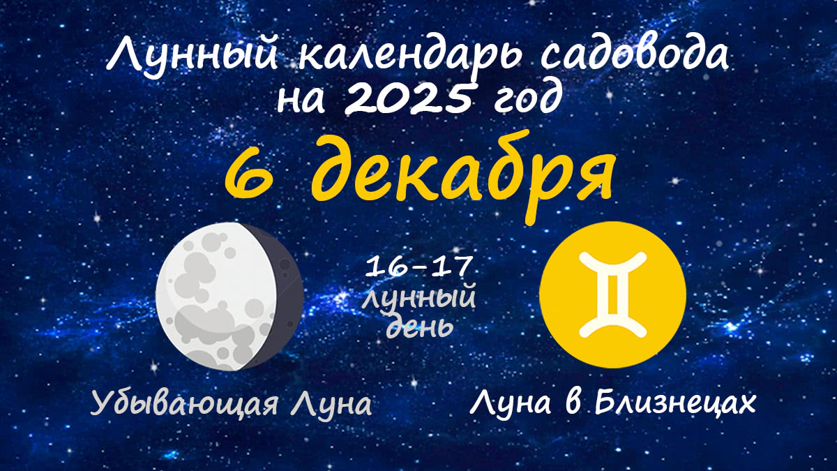 Лунный календарь садовода-огородника на 6 декабря 2025 года
