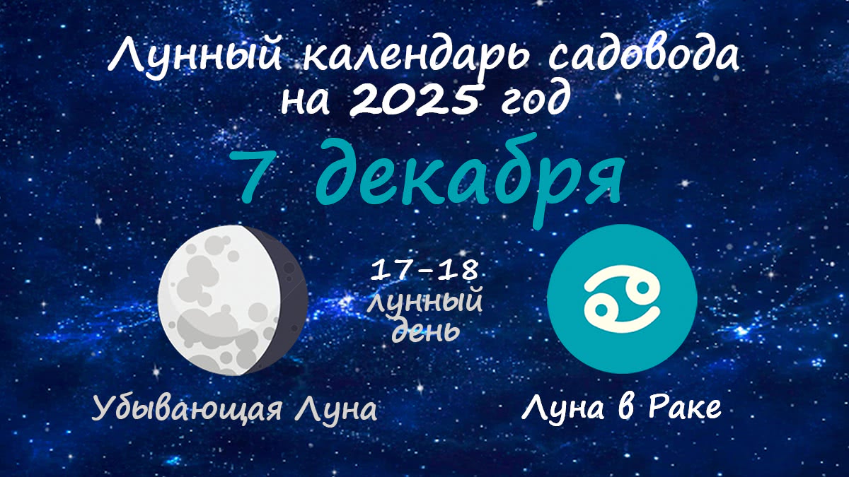 Лунный календарь садовода-огородника на 7 декабря 2025 года