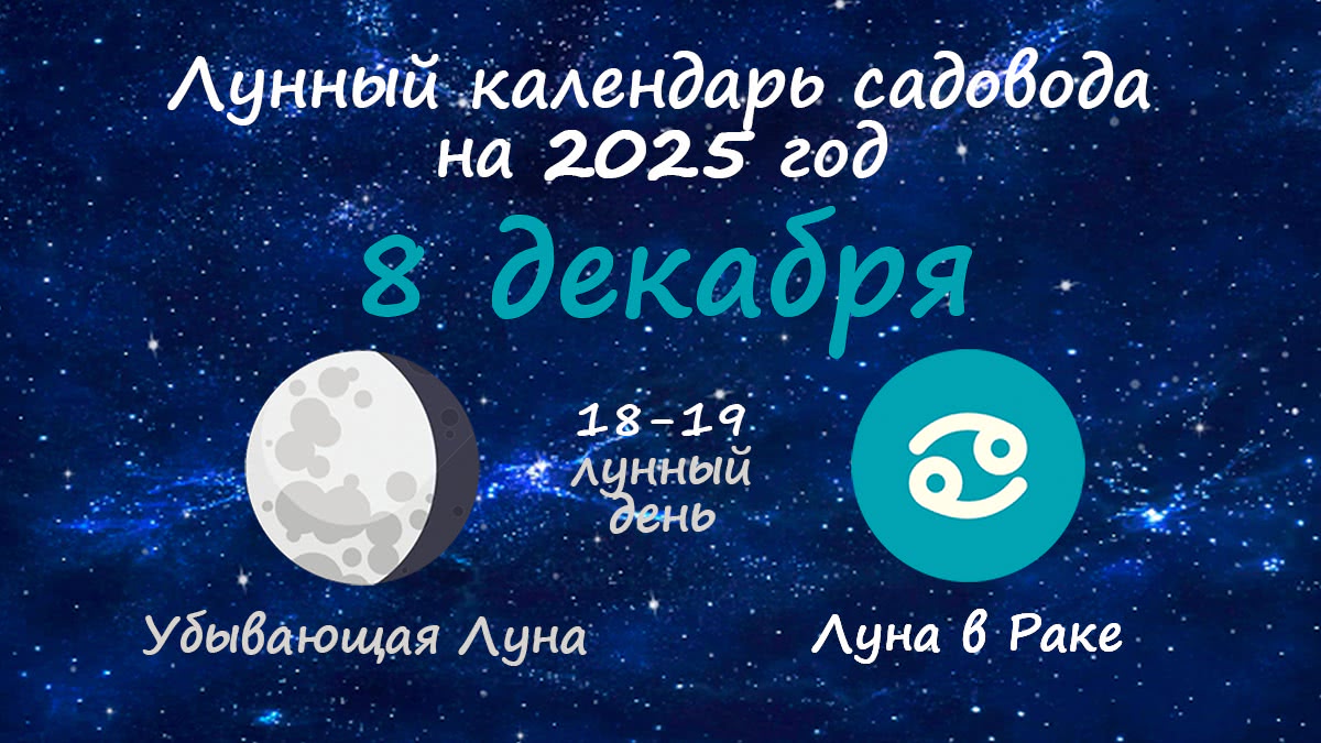 Лунный календарь садовода-огородника на 8 декабря 2025 года