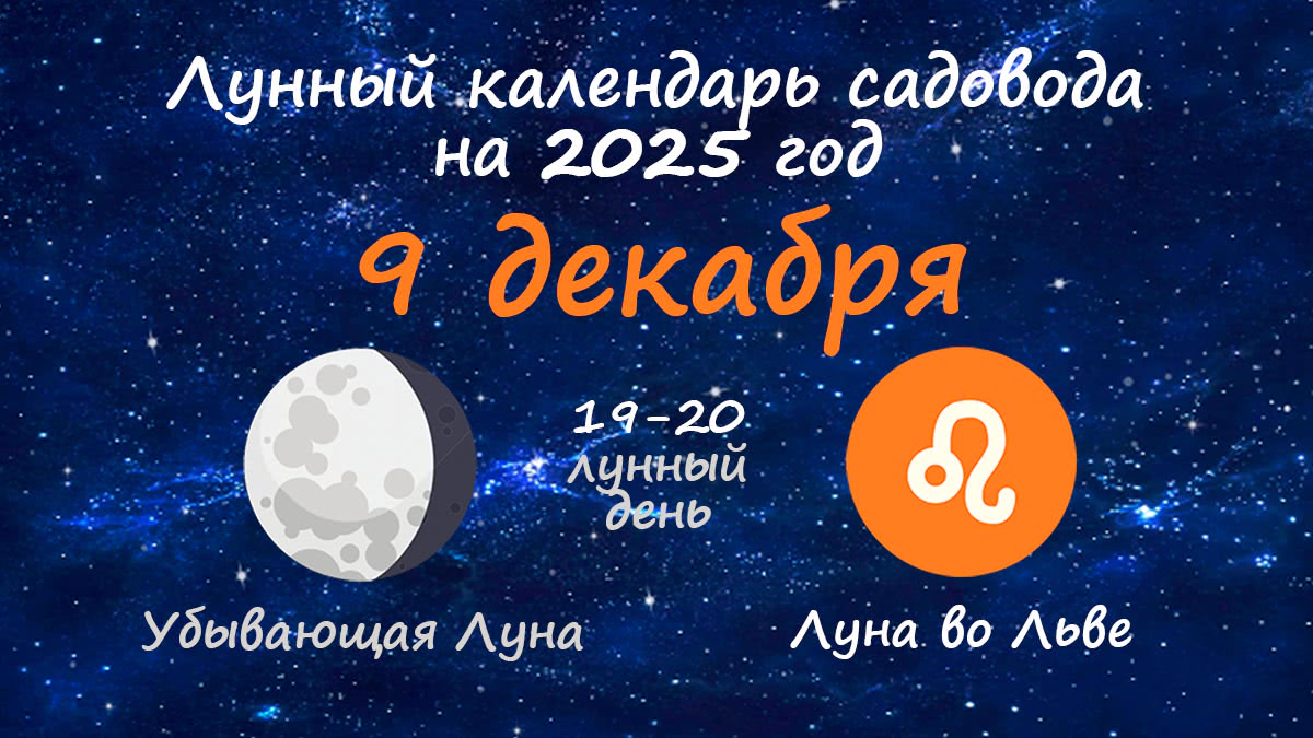 Лунный календарь садовода-огородника на 9 декабря 2025 года