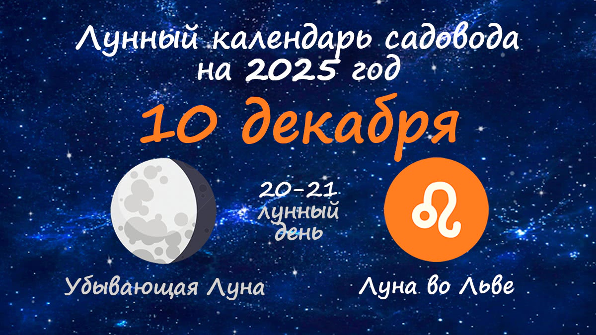 Лунный календарь садовода-огородника на 10 декабря 2025 года