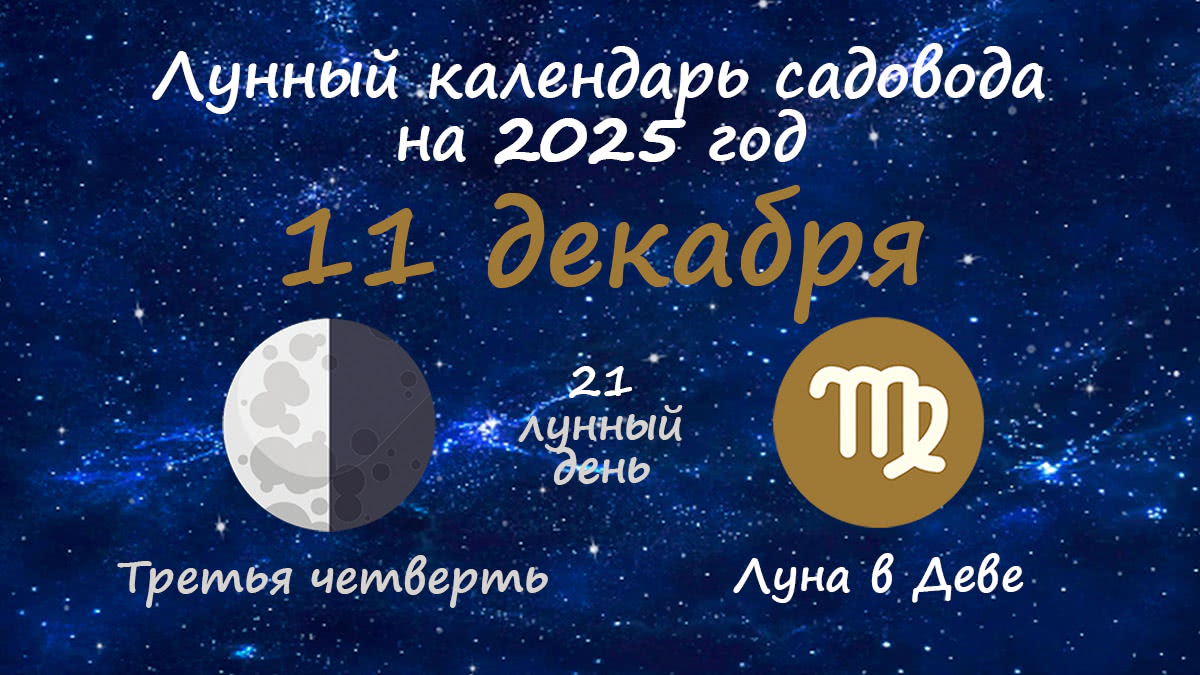 Лунный календарь садовода-огородника на 11 декабря 2025 года