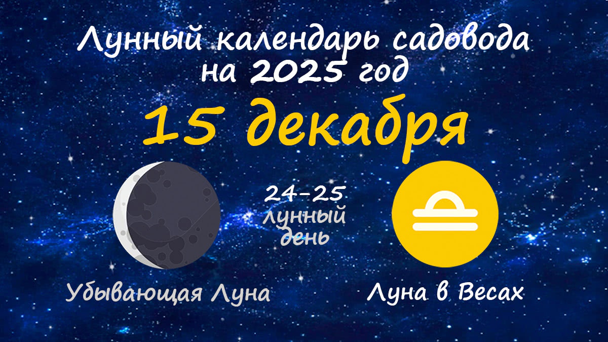 Лунный календарь садовода-огородника на 15 декабря 2025 года