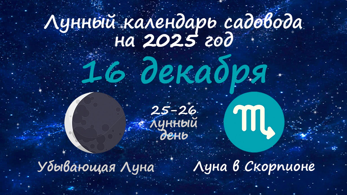 Лунный календарь садовода-огородника на 16 декабря 2025 года