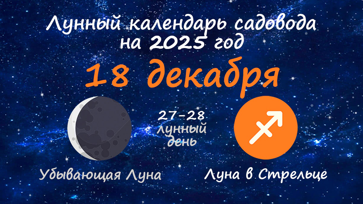 Лунный календарь садовода-огородника на 18 декабря 2025 года