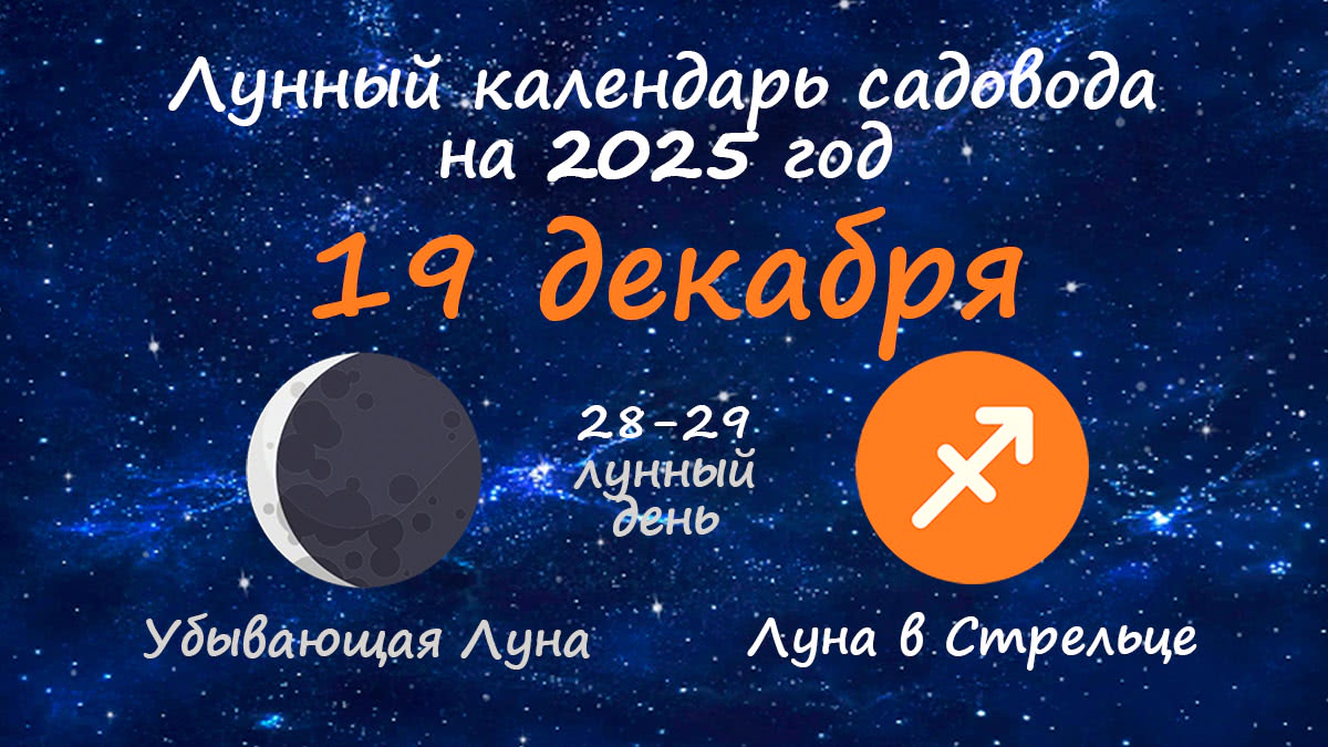 Лунный календарь садовода-огородника на 19 декабря 2025 года