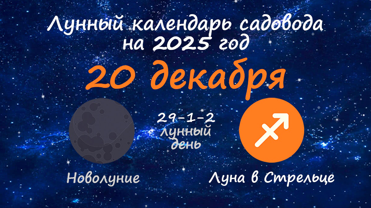 Лунный календарь садовода-огородника на 20 декабря 2025 года