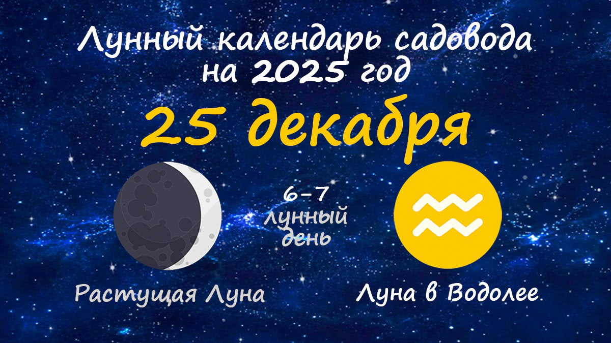 Лунный календарь садовода-огородника на 25 декабря 2025 года