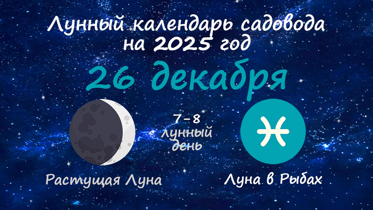 Лунный календарь садовода-огородника на 26 декабря 2025 года
