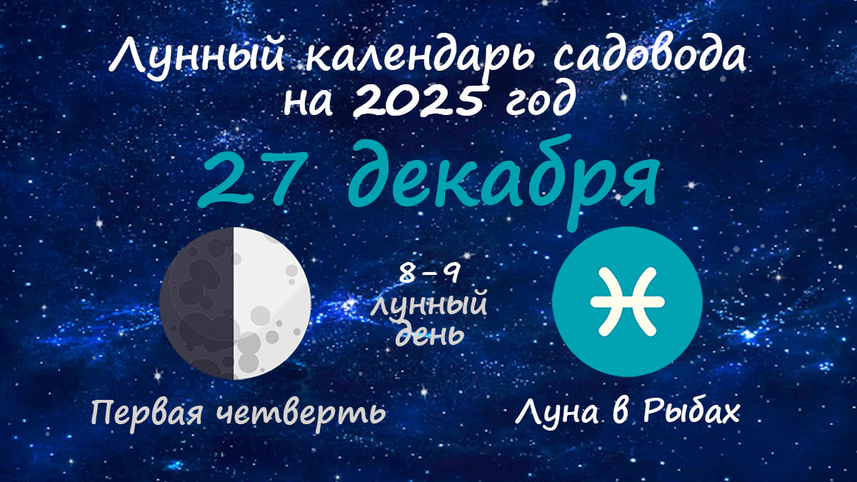 Лунный календарь садовода-огородника на 27 декабря 2025 года