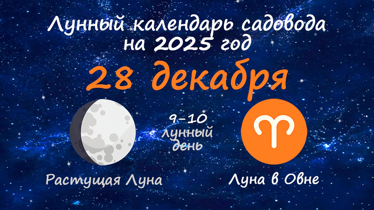 Лунный календарь садовода-огородника на 28 декабря 2025 года