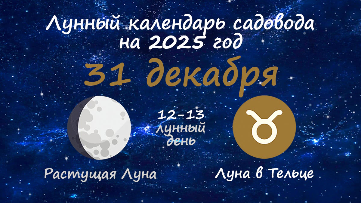 Лунный календарь садовода-огородника на 31 декабря 2025 года