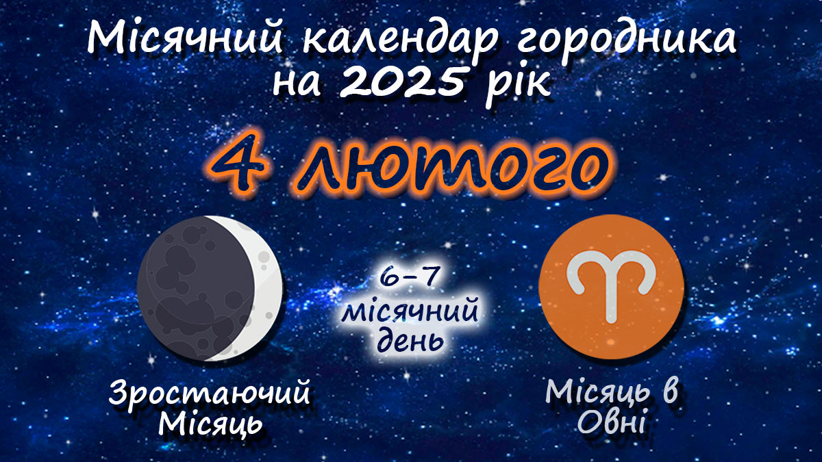 Місячний календар садівника-городника на 4 лютого 2025 року