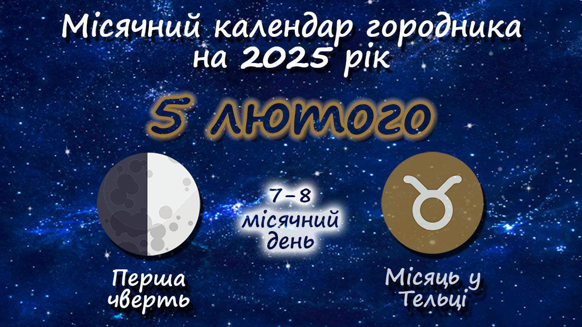 Місячний календар садівника-городника на 5 лютого 2025 року