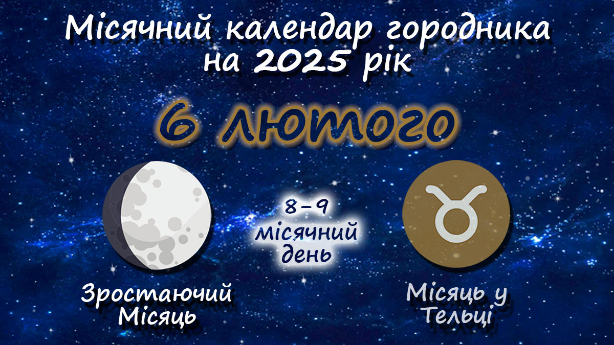 Місячний календар садівника-городника на 6 лютого 2025 року