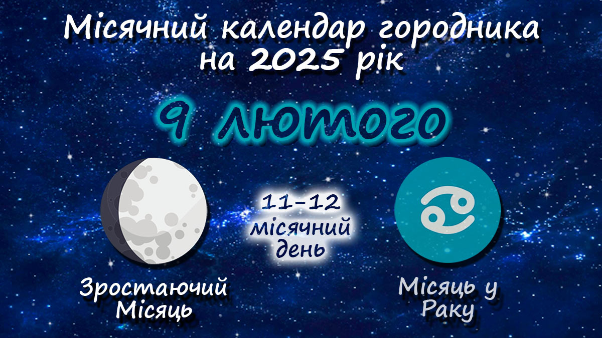 Місячний календар садівника-городника на 9 лютого 2025 року
