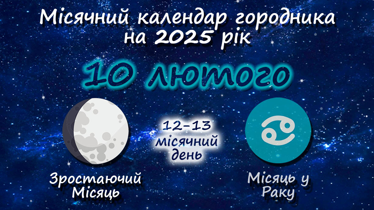 Місячний календар садівника-городника на 10 лютого 2025 року