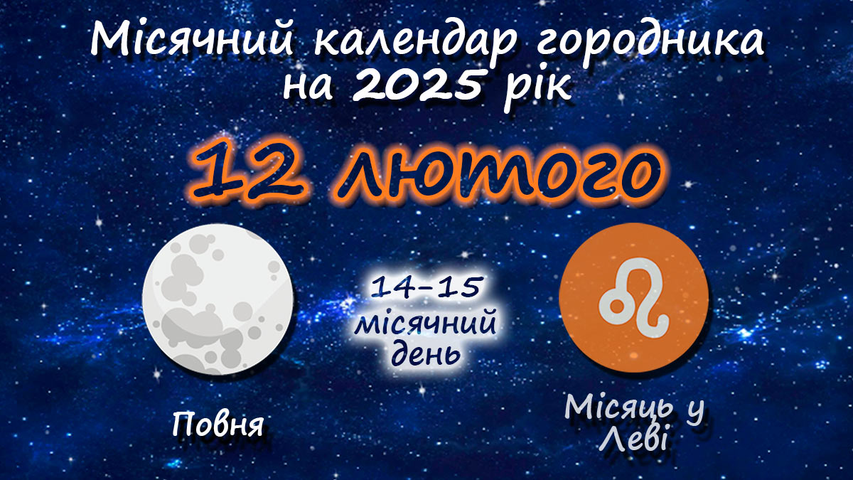 Місячний календар садівника-городника на 12 лютого 2025 року
