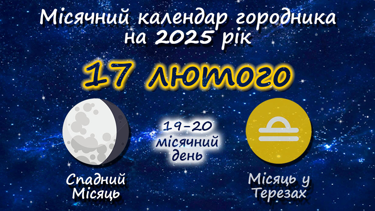 Місячний календар садівника-городника на 17 лютого 2025 року