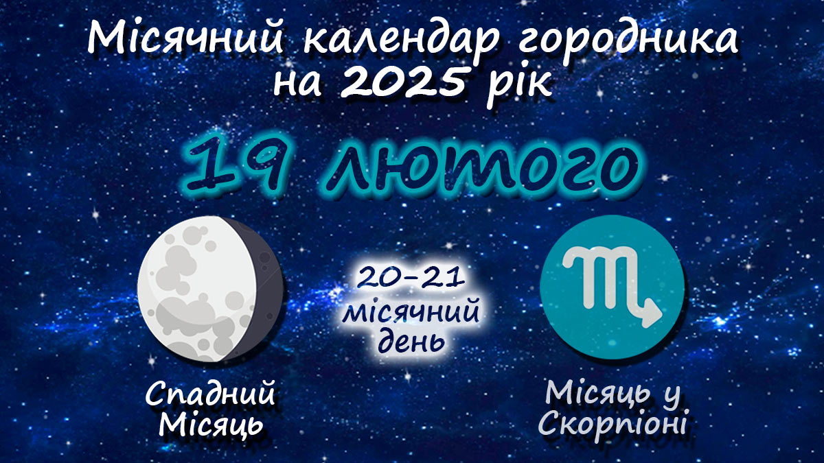 Місячний календар садівника-городника на 19 лютого 2025 року