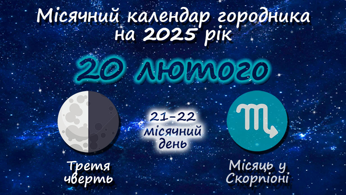 Місячний календар садівника-городника на 20 лютого 2025 року