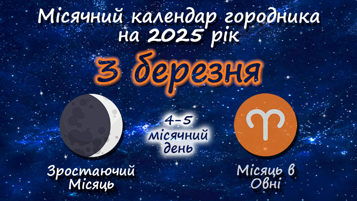 Місячний календар садівника-городника на 3 березня 2025 року